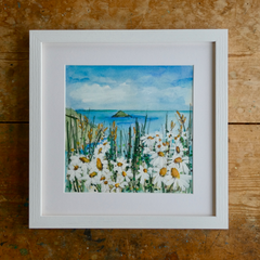 Ox-Eye Daisies, Com Pit