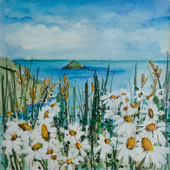 Ox-Eye Daisies, Com Pit