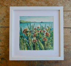 Kidney Vetch