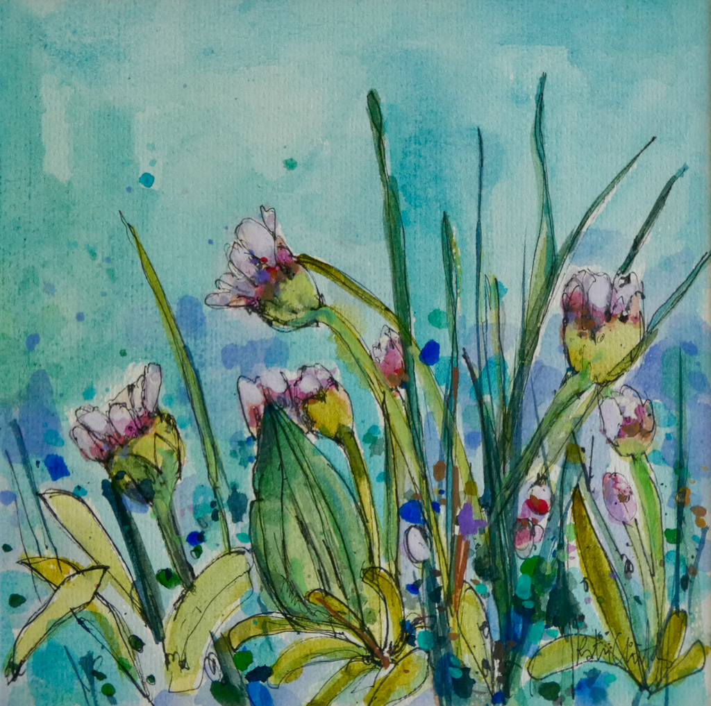 Sea Pinks