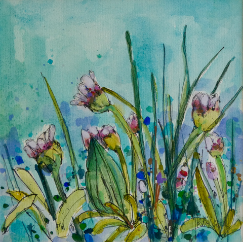 Sea Pinks